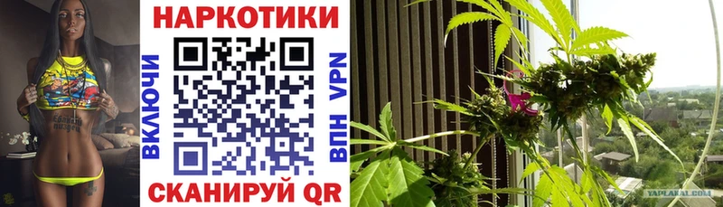 А ПВП Кологрив