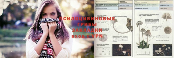 эйфоретик Алексеевка