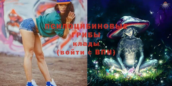 тгк Аркадак